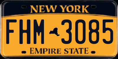 NY license plate FHM3085