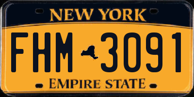 NY license plate FHM3091
