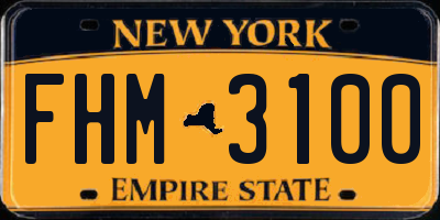 NY license plate FHM3100
