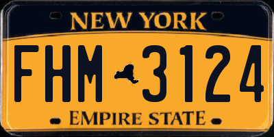 NY license plate FHM3124