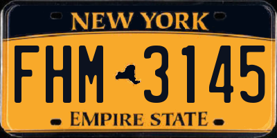 NY license plate FHM3145