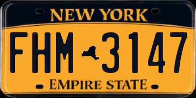 NY license plate FHM3147