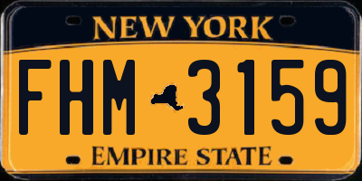 NY license plate FHM3159