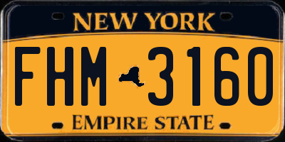 NY license plate FHM3160