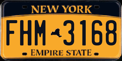 NY license plate FHM3168