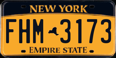 NY license plate FHM3173