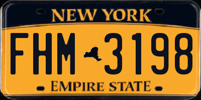 NY license plate FHM3198