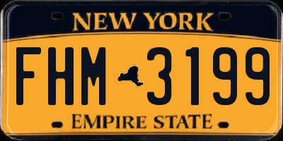NY license plate FHM3199
