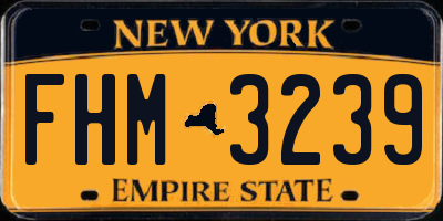 NY license plate FHM3239
