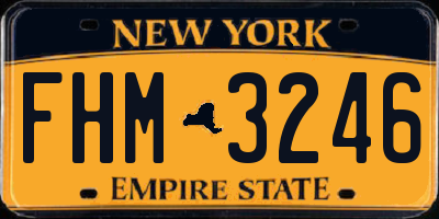 NY license plate FHM3246