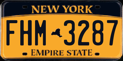 NY license plate FHM3287