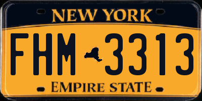 NY license plate FHM3313