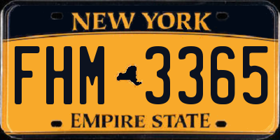 NY license plate FHM3365