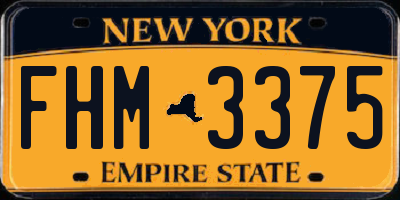 NY license plate FHM3375