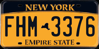 NY license plate FHM3376