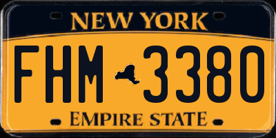 NY license plate FHM3380