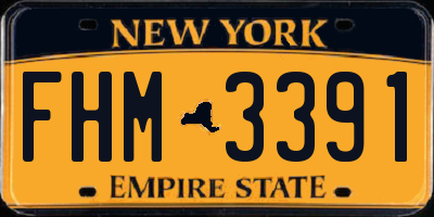 NY license plate FHM3391