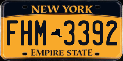 NY license plate FHM3392