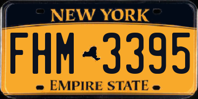 NY license plate FHM3395