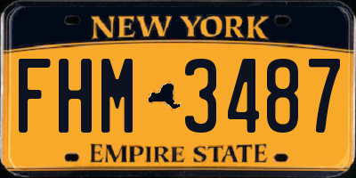 NY license plate FHM3487