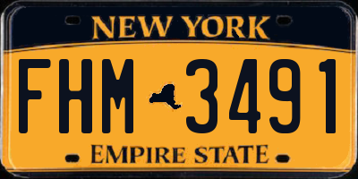 NY license plate FHM3491
