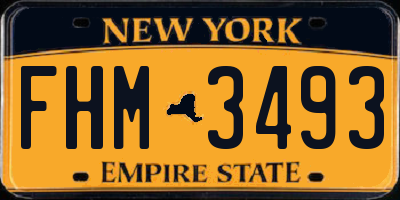NY license plate FHM3493