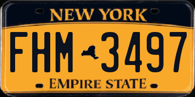 NY license plate FHM3497