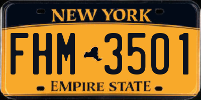 NY license plate FHM3501
