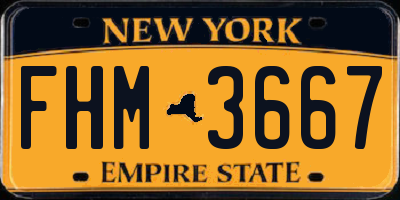 NY license plate FHM3667