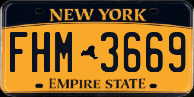 NY license plate FHM3669