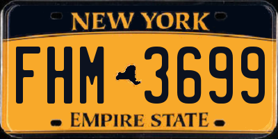 NY license plate FHM3699