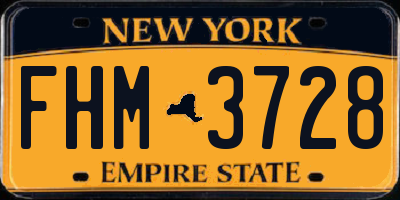 NY license plate FHM3728
