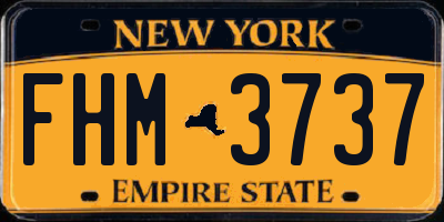 NY license plate FHM3737