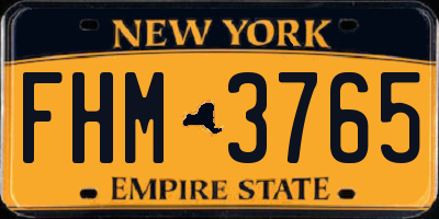 NY license plate FHM3765