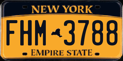 NY license plate FHM3788