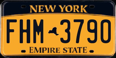 NY license plate FHM3790