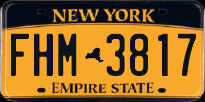 NY license plate FHM3817