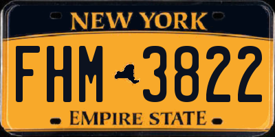 NY license plate FHM3822