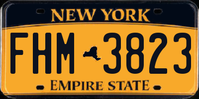 NY license plate FHM3823