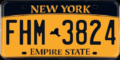 NY license plate FHM3824