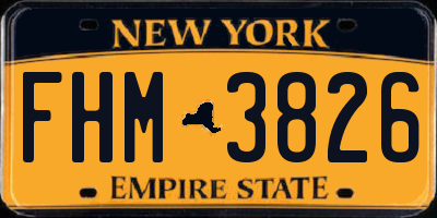 NY license plate FHM3826
