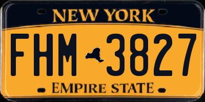 NY license plate FHM3827