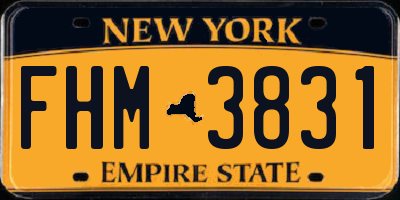 NY license plate FHM3831