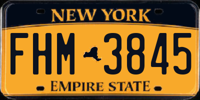 NY license plate FHM3845