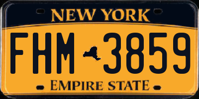 NY license plate FHM3859
