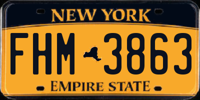 NY license plate FHM3863