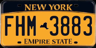 NY license plate FHM3883