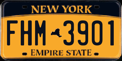 NY license plate FHM3901
