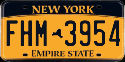 NY license plate FHM3954