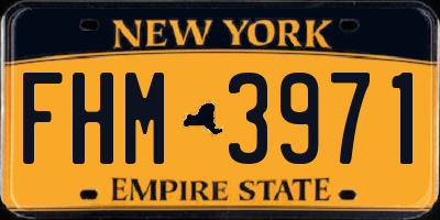 NY license plate FHM3971